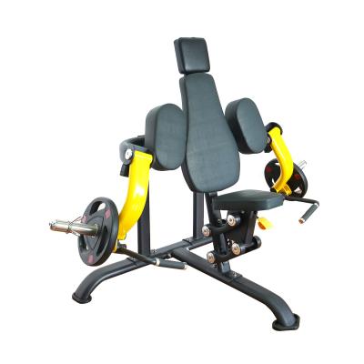 China Park / Gym Fitness Equipment Plate Loaded Seated Biceps Machine for sale