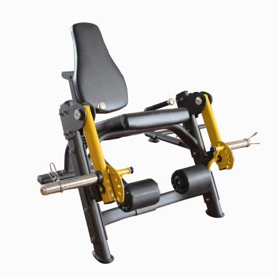China Seated Leg Extension Machine Plate Loaded Customized For Gym for sale