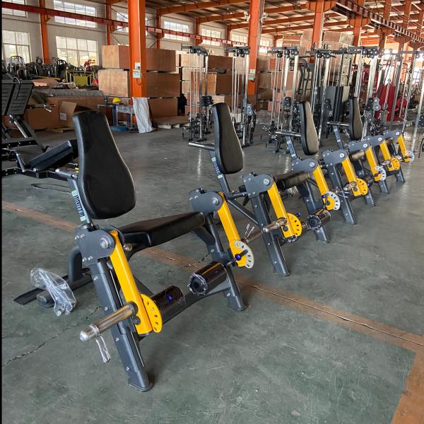 Quality Seated Leg Extension Machine Plate Loaded Customized For Gym for sale