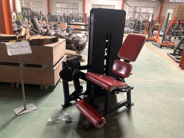 Quality Seated Leg Extension Equipment For Bodybuilding AXD-HM34 for sale