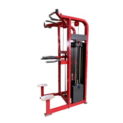 China Commercial Fitness Equipment Assist Dip Chin Machine For Arm Workout for sale