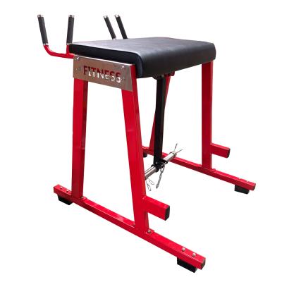 China Gym Hip Machine Reverse Hyper Extension Machine For Back And Hip for sale