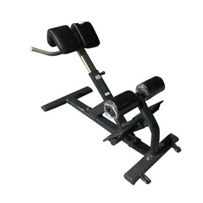 China Gym Roman Chair Back Extension Exercise Equipment  For Lower Back Workout for sale