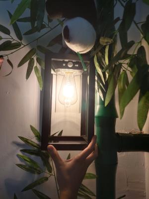 China IP65 Wasserdicht Zuhause Gartenlampe Sicherheitslampen Nachtlichter Solarwandlicht Außenlicht zu verkaufen