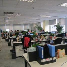 Verified China supplier - Dingmiao Co.,Ltd