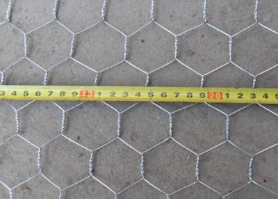 China Hexagonal Wire Mesh for sale