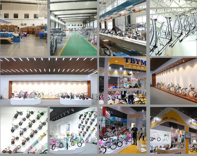 Проверенный китайский поставщик - Wanyi Bicycle Guangzong Co., Ltd.