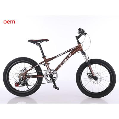 China 20 Inch 6 Speed MTB Mountain Bikes With Aluminum Alloy Rim for sale