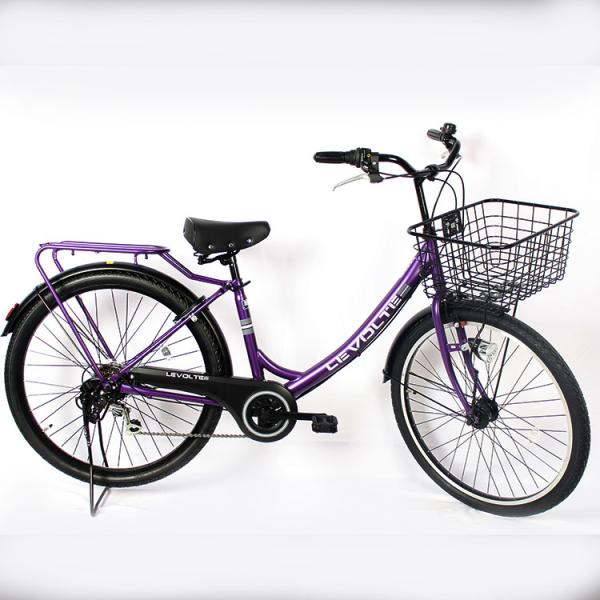 Quality Adults Carbon City Bikes 24 Inch Classic Retro Bicycles Six Speed for sale