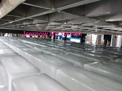 Cina Tonnellata industriale automatica 50kg del creatore 10 della macchina di congelamento del blocco di ghiaccio in vendita
