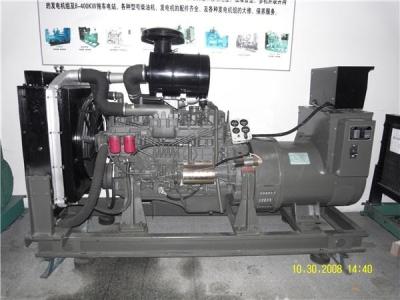 China Ricardo Power Engine Brushless AC Generator 100KW DC 24V Electrical Starting for sale