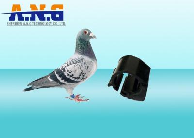 China 134.2Khz Wireless ABS Rfid Ring Tag 3G Pigeon Foot Ring With 100000 Times Endurance for sale