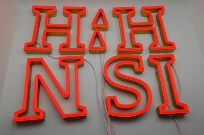China Stainless steel Custom Faux Neon Sign 12mm with metal housing for sale