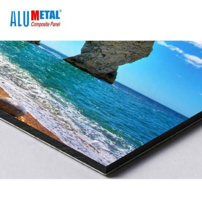 China 1250mm 8mm PE Aluminum Composite Panel Aluminium Board Panel Mirror Surface AA3003 for sale