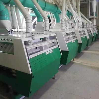 China 200TPD Roller Flour Mill Plant Pneumatic Electric Wheat Flour Mill Plant for sale
