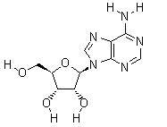 China Supply Adenosine cas no 58-61-7 Antiviral Agents for sale