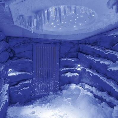 China Bropools Ice Sauna Snow Room Ice Fountain Cold Sauna In Cryo Therapy for sale