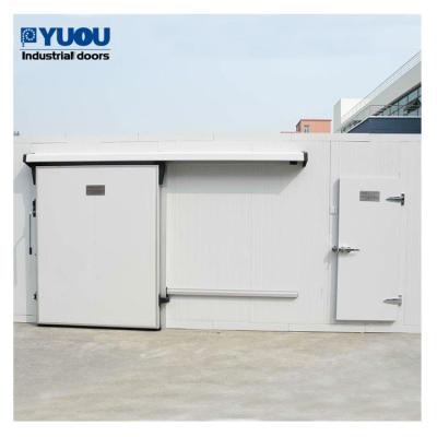 China Automatic Steel Cold Storage Freezer Sliding Door for Food and Drug Factory for sale
