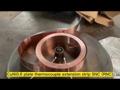 S/R thermocouple extension strip SNC (RNC)