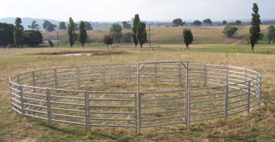 China Peach Post 12 Ft Livestock Fence Panels Portable Heavy Duty Te koop
