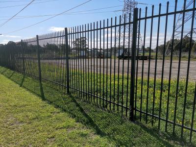 China 1.5m Steel Tubular Fencing Security High Bow Top Powder Coated Railings for sale