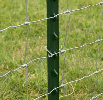 Chine 1000mm Y Shaped Fence Post Black Painted Steel à vendre