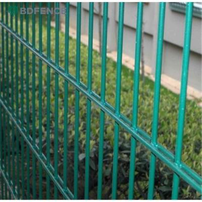 China Germany Style 8/6/8 Double Wire Mesh Fencing Rodent Proof à venda