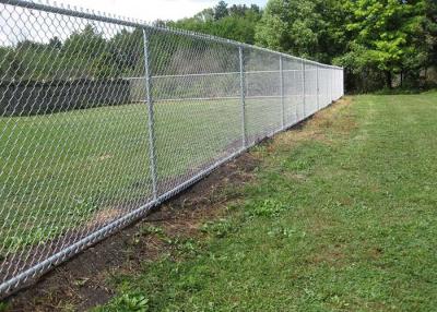 China Zoo Protecting 5mm Wire Diamond Chain Link Fence for sale