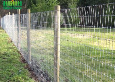 China 1.5m Hot Dipped Galvanized High Tensile Wire Farm fence for sale
