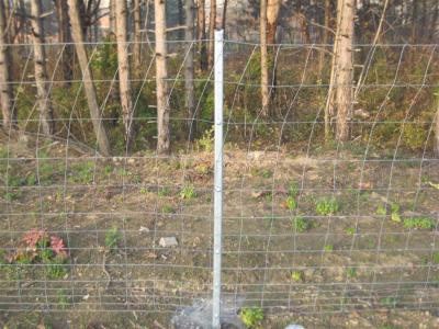 China HGMT 1.8m Field Livestock Fence Panels For Deer for sale