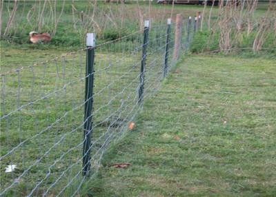 China Theftproof 6ft Q235 Steel Studded T Post For Fencing for sale