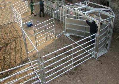 China Square Tube Welded Livestock Fence Panels For Cattle for sale