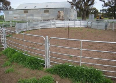 China 3 rails Galvanized Metal Livestock Fence Panels for sale
