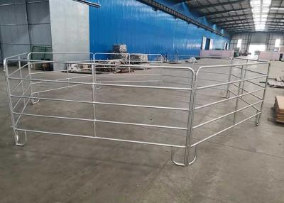 China 1.6m Height Hot Dipped Galvanized Cattle Panel For Horse Farm for sale