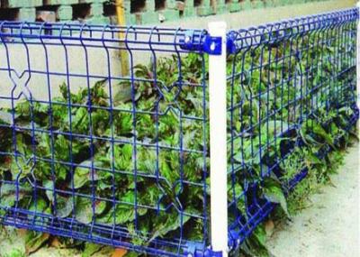 China 75*150mm doppelte Schleife BRC schweißte Draht-Garten-Zaun zu verkaufen