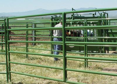 中国 携帯用管は溶接された網の牛を囲うゲートを満たした 販売のため