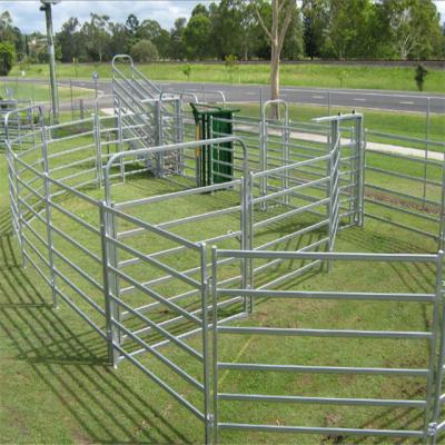 China 60x60mm Rails Lugs And Pin Model Square Pipe 60ft Height Cattle Panel For Horse for sale