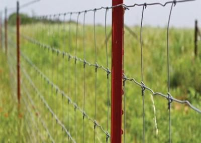 China Hot Dipped Galvanized Fixed Knot Sheep Farm Fence Of Steel Wire Mesh for sale