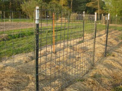 China 6 Feet Steel Studded T Post Galvanized Farm Fence Using for sale