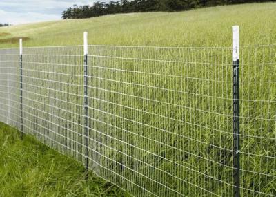 China 1.58kg/M To 2.04kg/M 2400mm Fence Star Pickets Australia Standard for sale