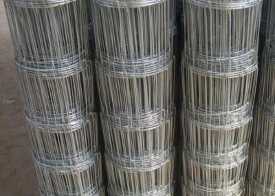 Китай Гальванизированное поголовье загородки поля фермы провода 2.5mm страницы суставного сочленения предотвращает продается