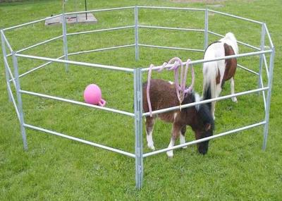 Cina La recinzione temporanea del recinto per bestiame del giardino 1.6m riveste il ferro di pannelli di zootecnia in vendita
