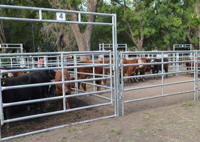 China Heavy Duty 1.6m Height Livestock Fence Panels Metal Galvanized Farm Gates for sale