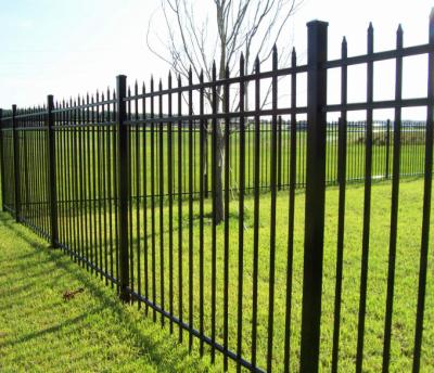 China Powder Coating Wrought Iron Welded Wire Garden Fence Black Tubular for sale