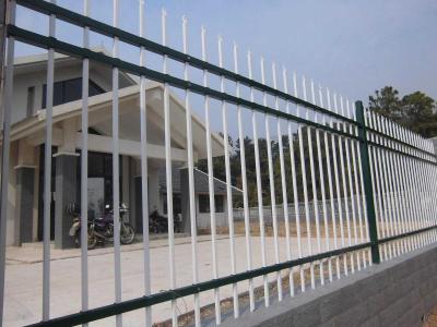 China 6FT Height Powder Coated 25*25mm RailsTubular Steel Fence for sale