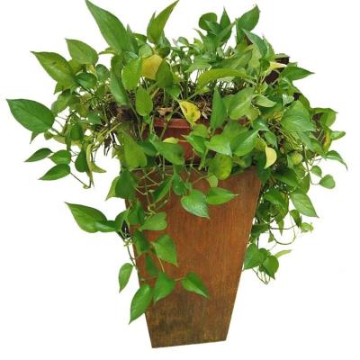 China Outside Garden Metal Flower Pot Rusty Corten Steel Tapered Planter Box for sale