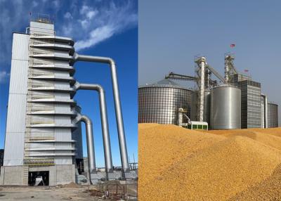 China 1200T/D Reliable Maize Dryer 80kw For Convenient Sea Transport With 1 Year for sale