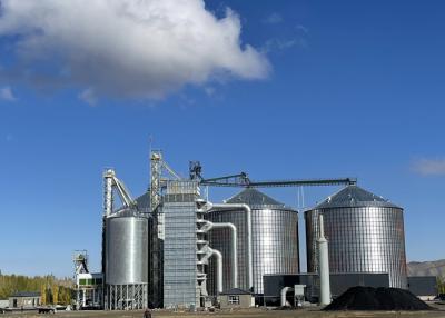 Chine Dessiccateur de grain industriel de maïs avec la réduction 300kw 15T/D d'humidité de 8% - de 21% à vendre