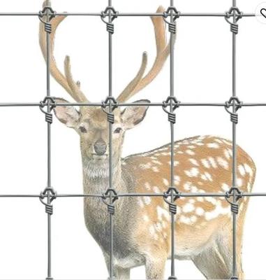 Chine Résistance à la pourriture clôture de ferme en acier à noeuds fixes pour un confinement animal sûr et sécurisé à vendre