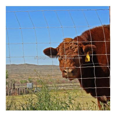Chine Galvanisée 5-8 pieds de clôture fixe en noeud de cerf de bétail pour la protection du champ de la ferme à vendre